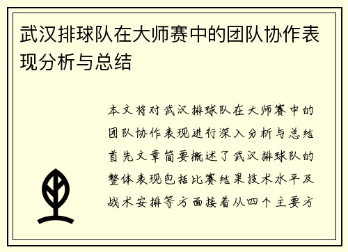 武汉排球队在大师赛中的团队协作表现分析与总结